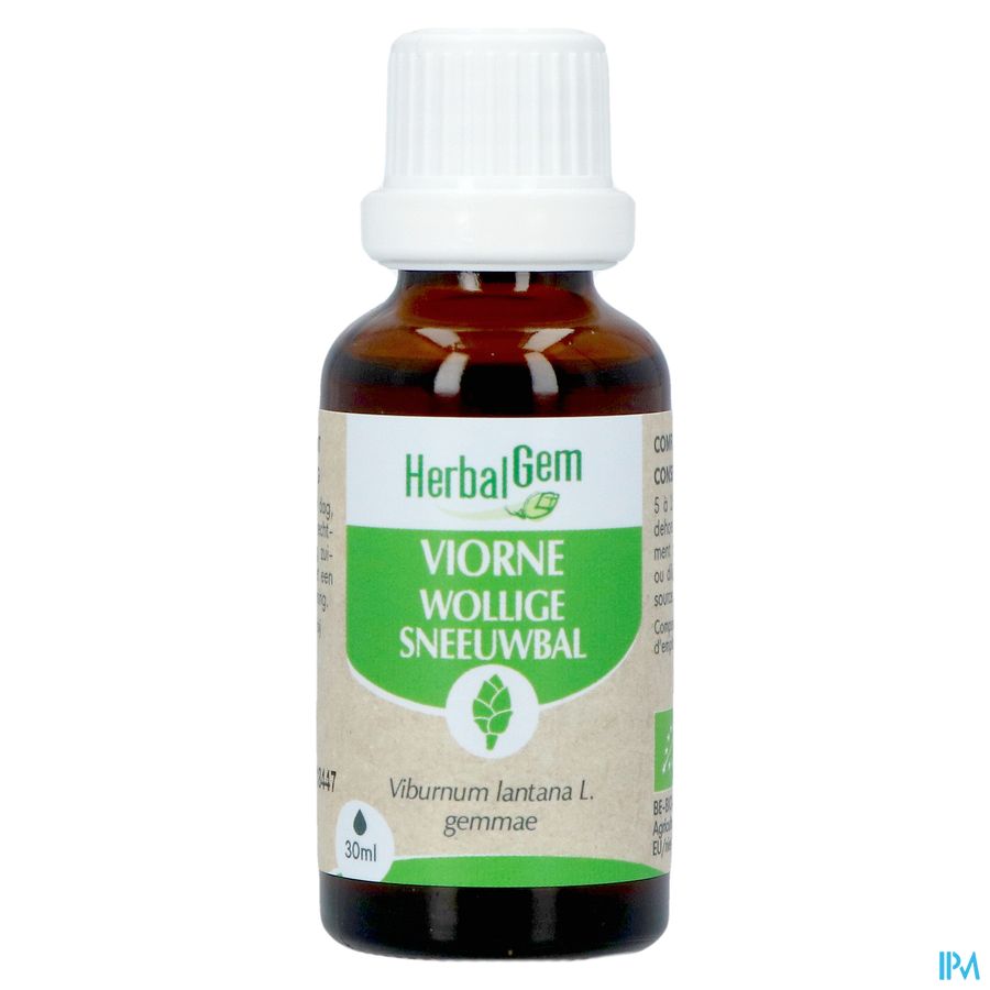 Herbalgem Sneeuwbal Bio 30ml 2
