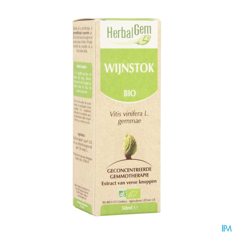 Herbalgem Wijnstok Maceraat 50ml Herbalgem Wijnstok Maceraat 50ml