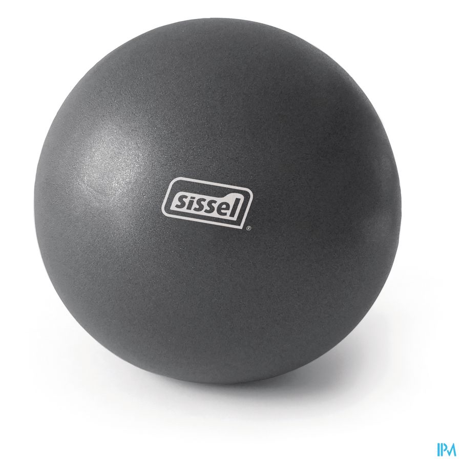Sissel Pilates Ball Metalic 26cm Oefenbal Pilates Sissel Pilates Ball Metalic 26cm Oefenbal Pilates