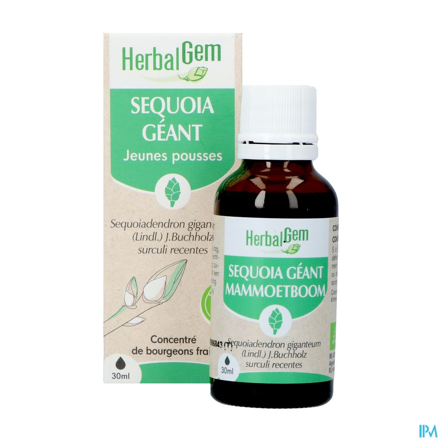 Herbalgem Mammoetboom Bio 30ml 5