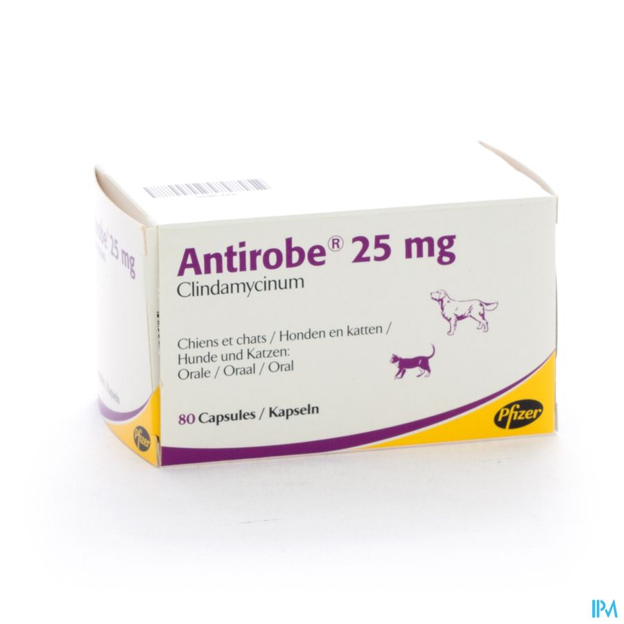 Antirobe Caps 25mg 80 (8x10) Antirobe Caps 25mg 80 (8x10)