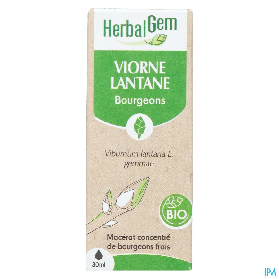 Herbalgem Sneeuwbal Bio 30ml 6