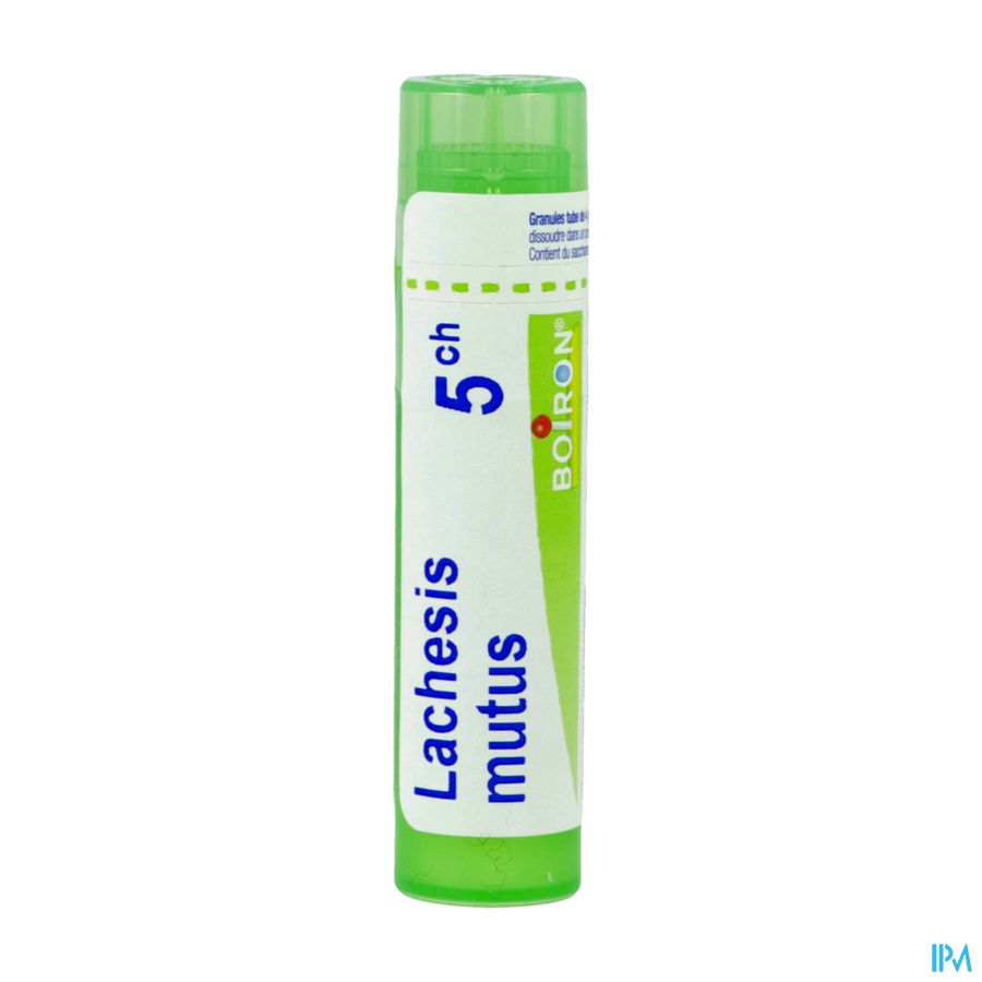 Lachesis Mutus 5ch Gr 4g Boiron Lachesis Mutus 5ch Gr 4g Boiron