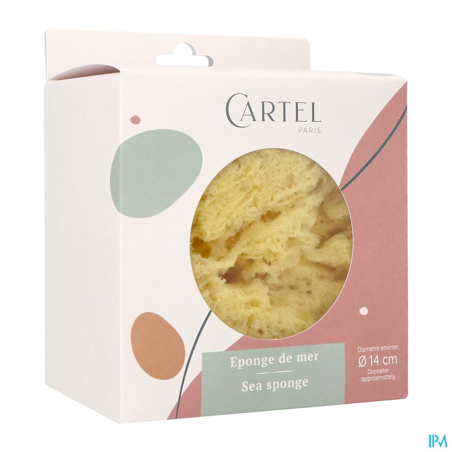 Zeespons Natuurlijk 14cm Zeespons Natuurlijk 14cm