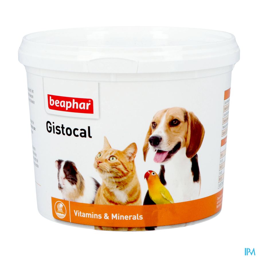 Gistocal Pdr 500g 10318