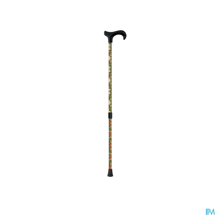 Sanico Wandelstok Derby Bloemen Mq 529