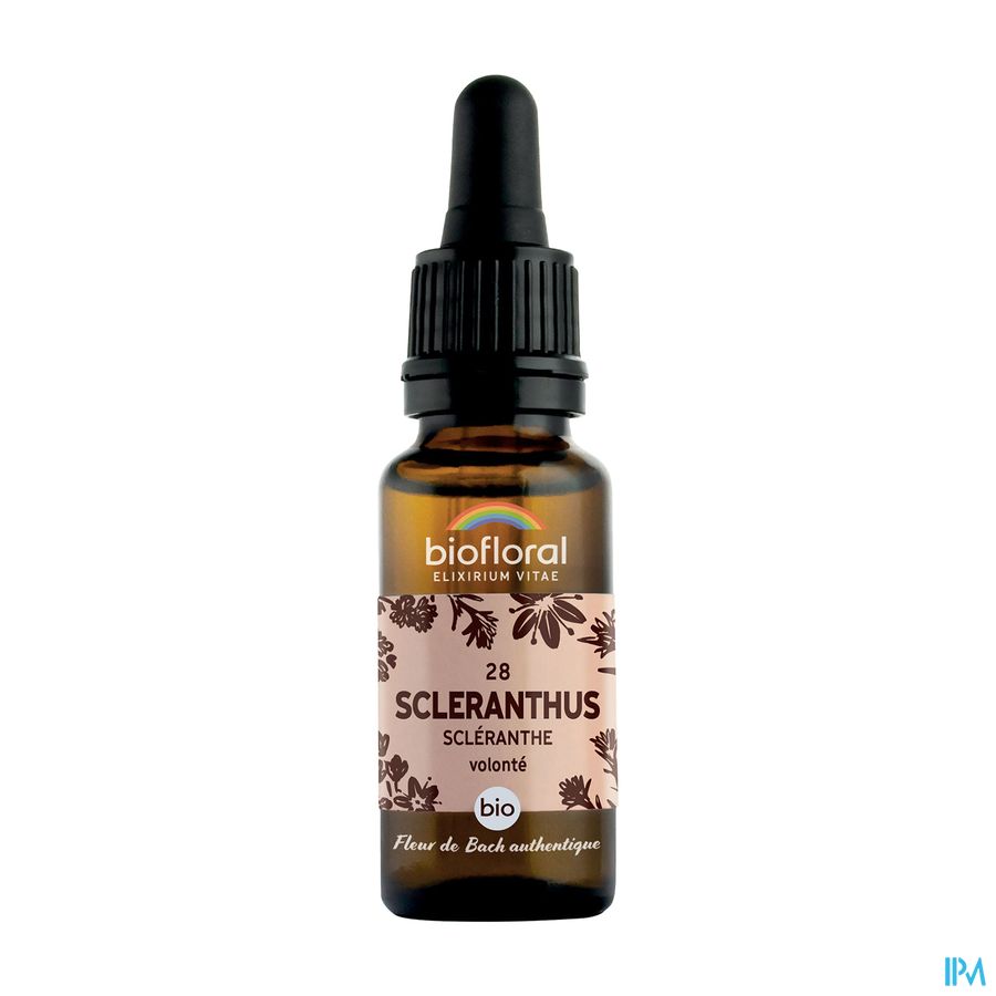 Biofloral Bachbloesem 28 Scleranthus Bio 20ml Biofloral Bachbloesem 28 Scleranthus Bio 20ml