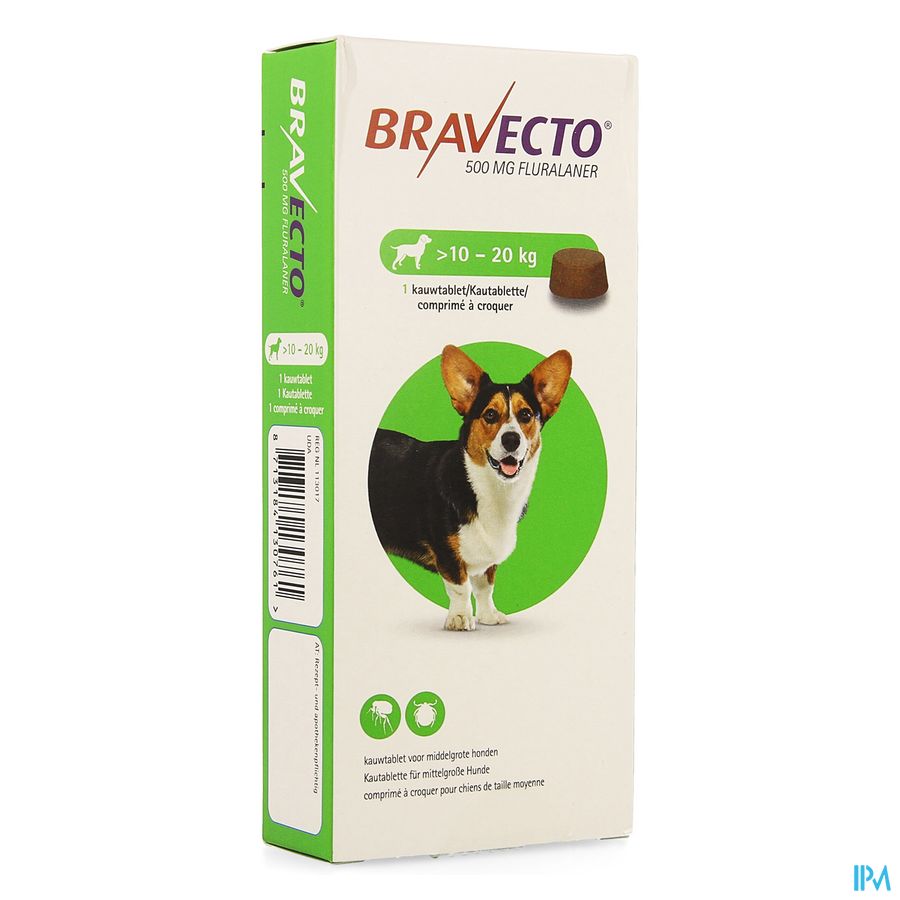 Bravecto Comp A Macher Chien 1x 500,0mg