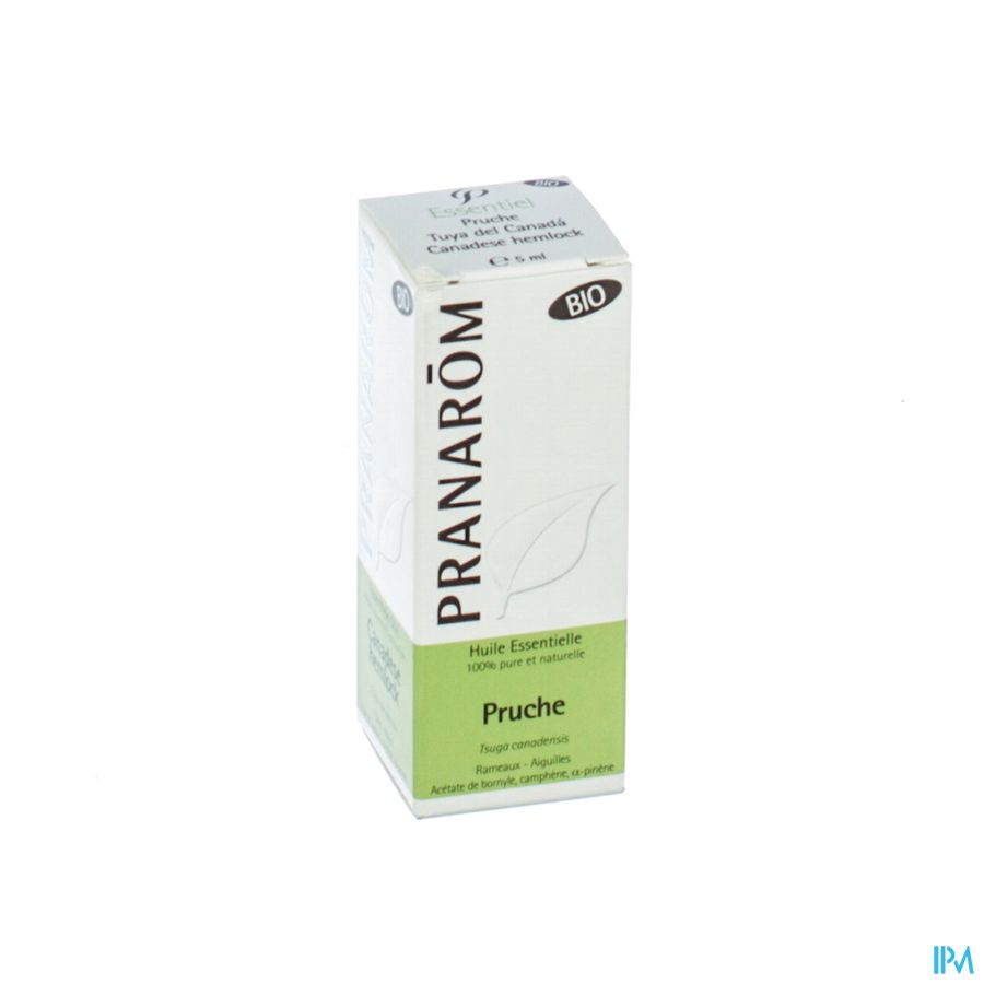 Pruche Bio Hle Ess 5ml Pranarom Pruche Bio Hle Ess 5ml Pranarom