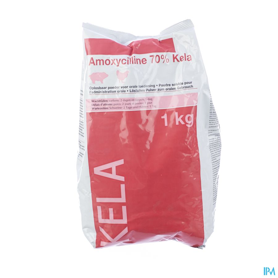 Amoxycilline 70% Kela Oplospoeder 1kg Amoxycilline 70% Kela Oplospoeder 1kg