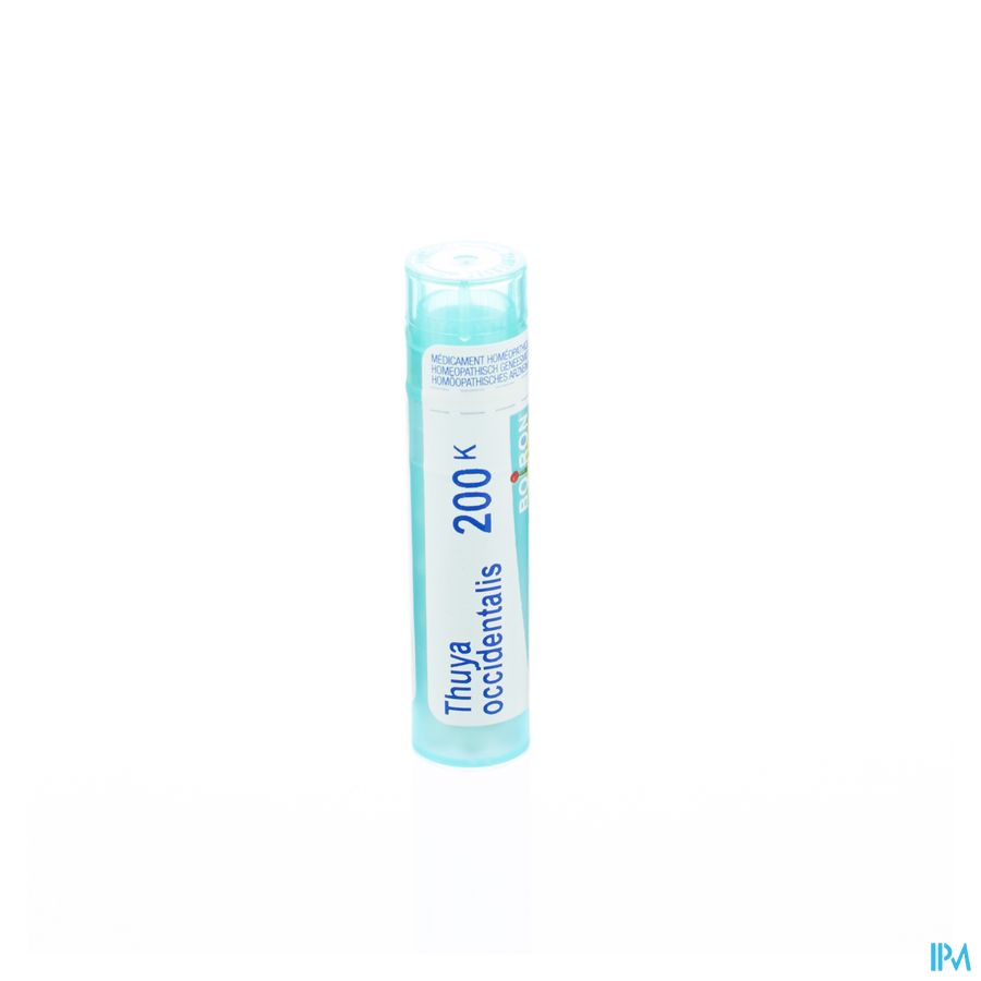 Thuya Occidentalis 200k Gr 4g Boiron 1