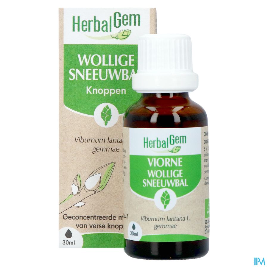 Herbalgem Sneeuwbal Bio 30ml 3