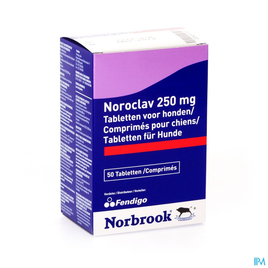 Noroclav Hond Comp 50x250mg Noroclav Hond Comp 50x250mg