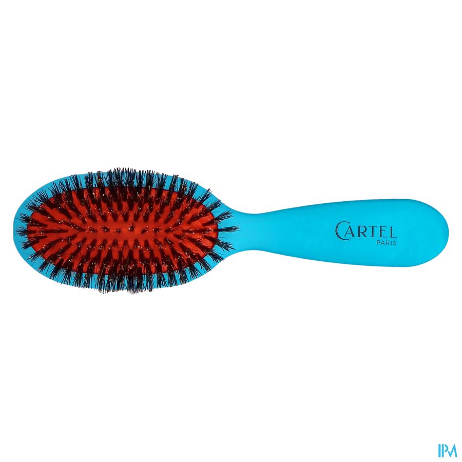 Pneumatische Borstel Met Everzwijnhaar Gekleurd Small 8