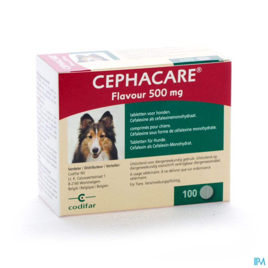 Cephacare Flavour 500mg Comp Honden 100