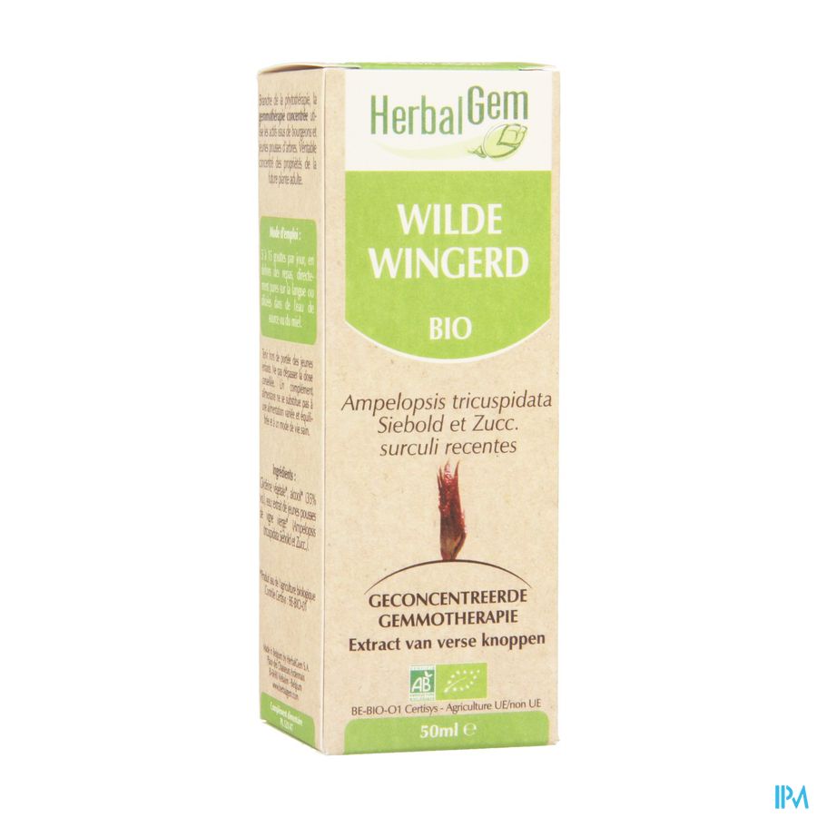 Herbalgem Wilde Wingerd Maceraat 50ml Herbalgem Wilde Wingerd Maceraat 50ml