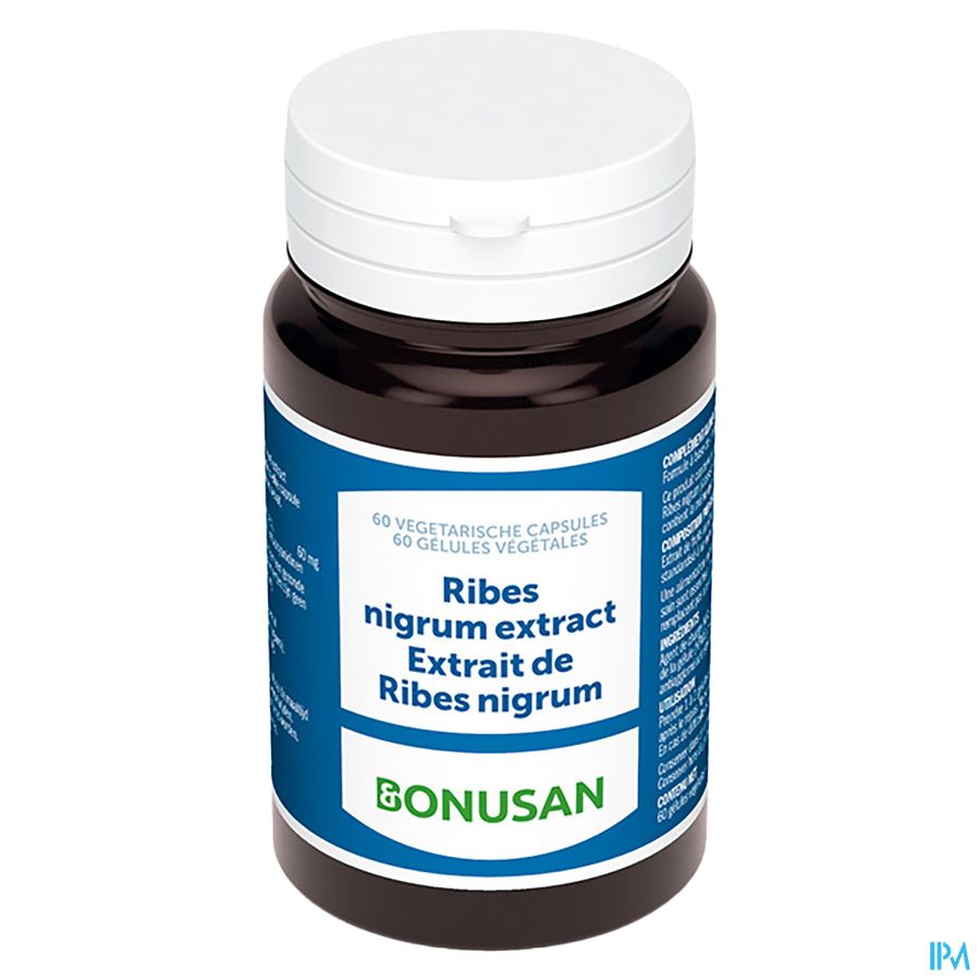 Ribes Nigrum Extract Caps 60 Bonusan 3