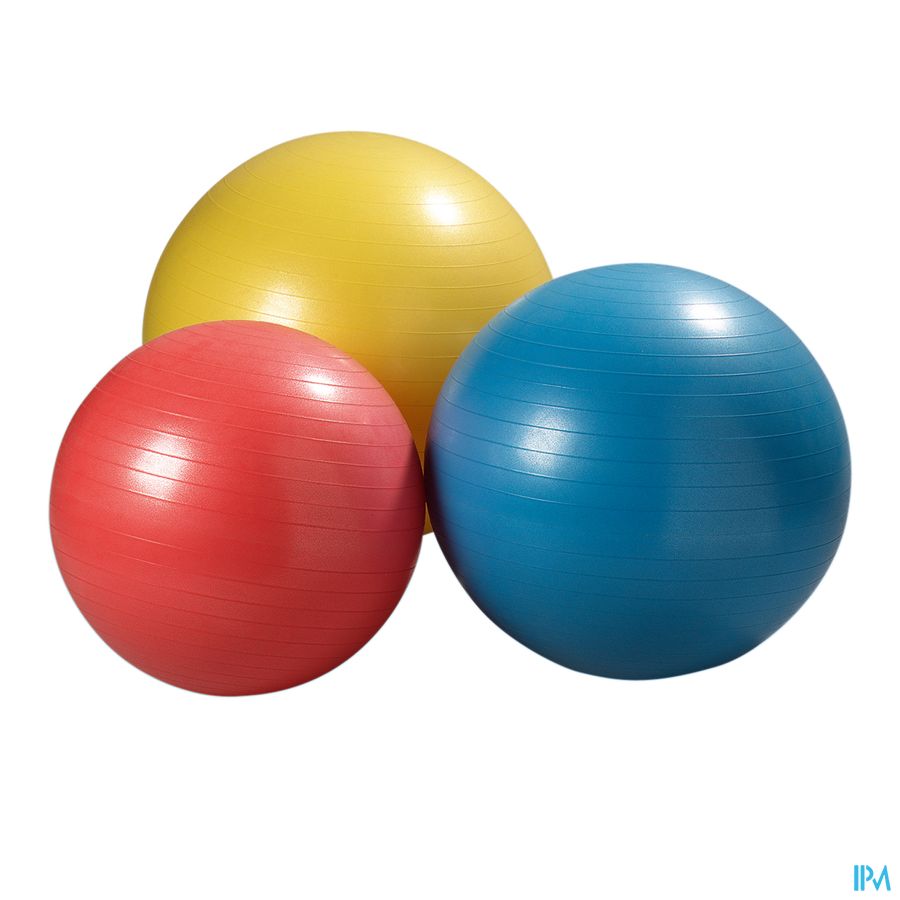 Jobri Exerswiss Therapy Bal 45cm 32300501 Jobri Exerswiss Therapy Bal 45cm 32300501