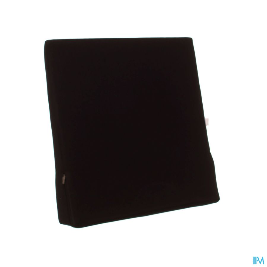 Sissel Sit Standard Coussin Triangulaire Noir Sissel Sit Standard Coussin Triangulaire Noir