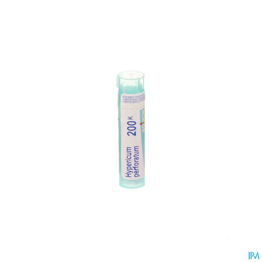 Hypericum Perforatum 200k Gr 4g Boiron Hypericum Perforatum 200k Gr 4g Boiron