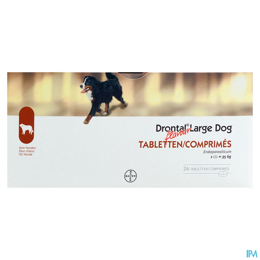 Drontal Large Dog Flavour Tabl 24