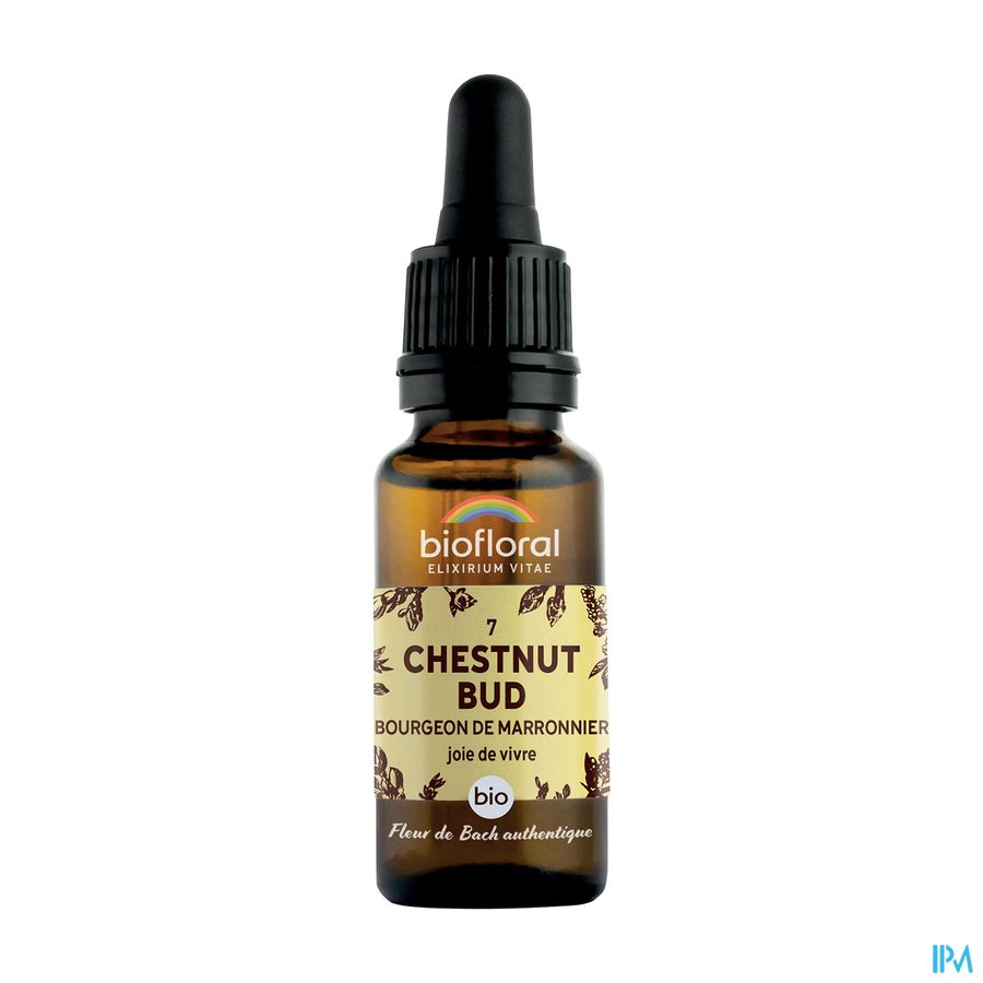 Biofloral Fleurs De Bach 07 Chestnut Bud Bio 20ml Biofloral Fleurs De Bach 07 Chestnut Bud Bio 20ml