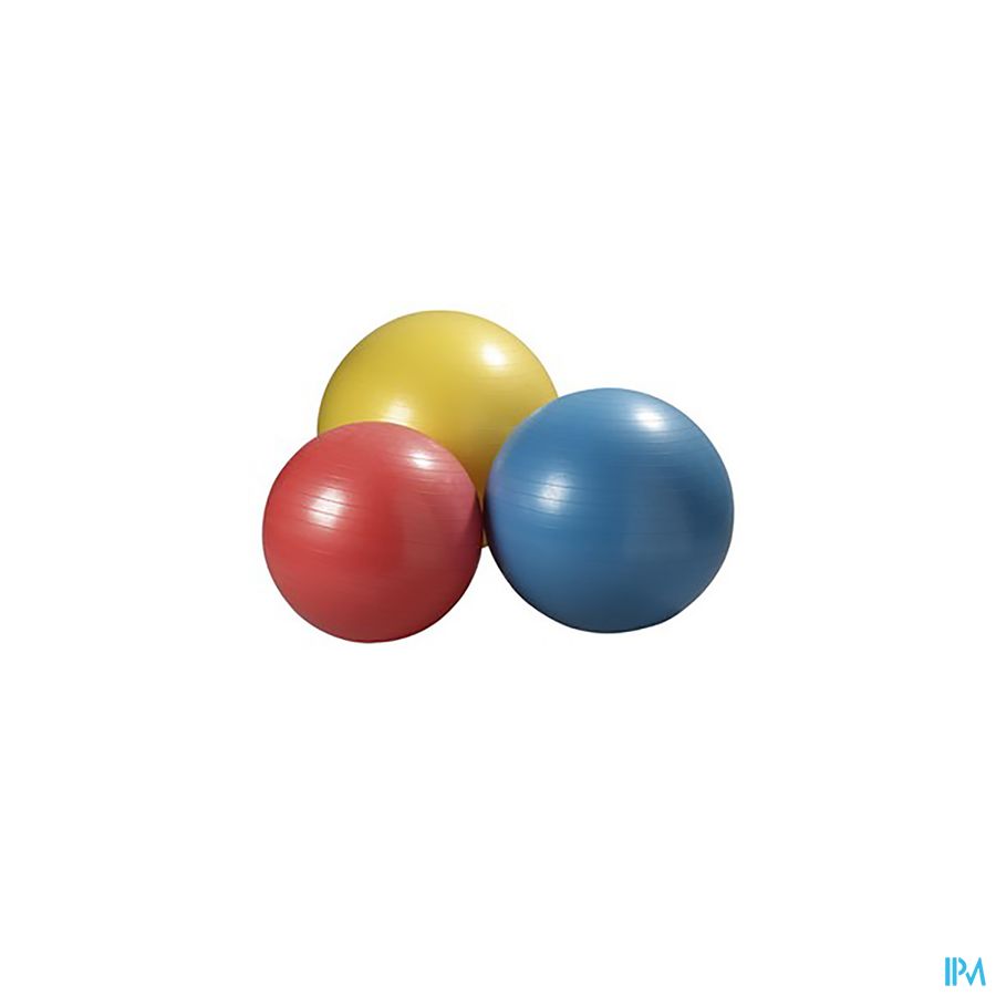 Jobri Exerswiss Therapy Bal 75cm 32300504 Jobri Exerswiss Therapy Bal 75cm 32300504