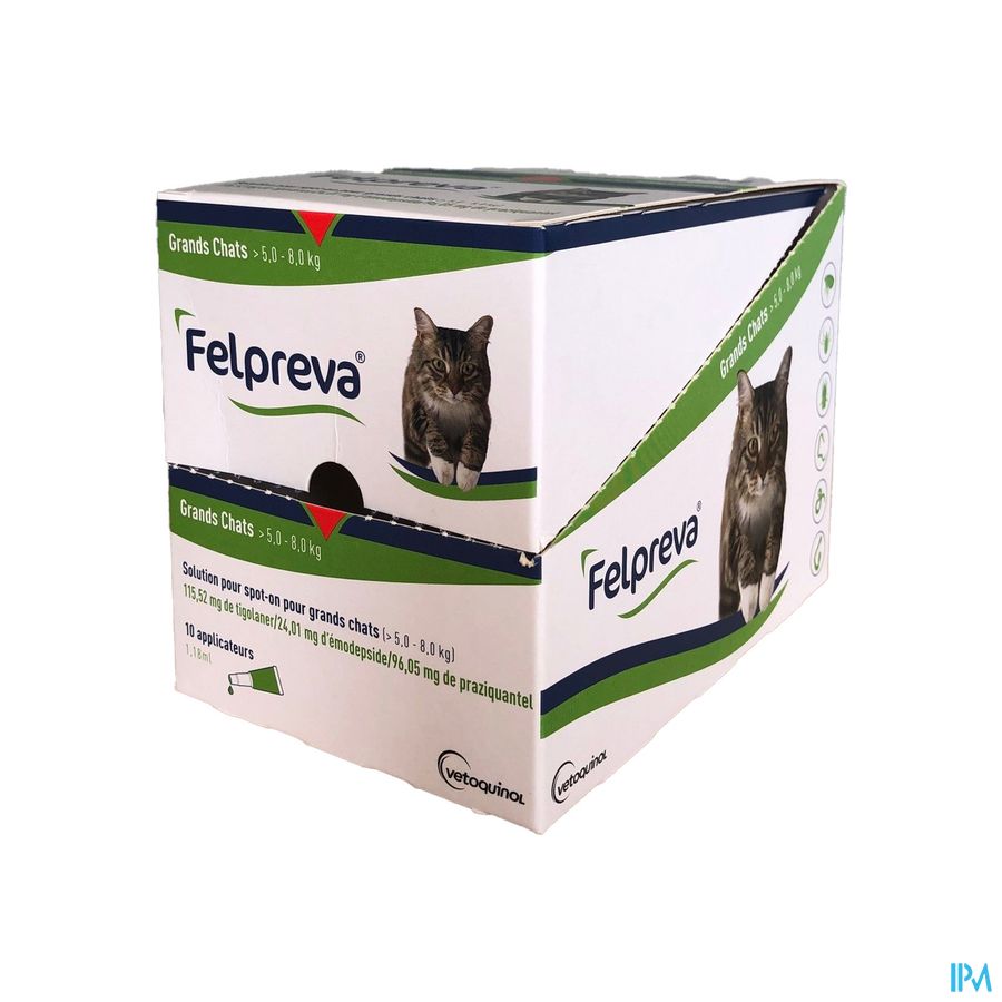 Felpreva Spot-on Solution Chat 5-8kg 10x1,18ml