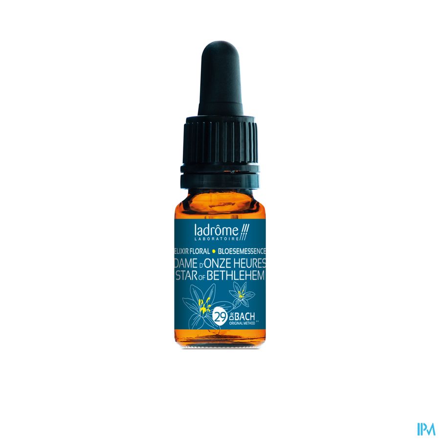 Ladrome Vogelmelk/star Bethlehem 10ml