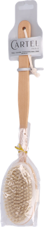 Cartel Borstel Bad Hout Zijde Bb2 1