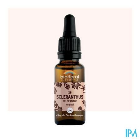 Biofloral Bachbloesem 28 Scleranthus Bio 20ml 2