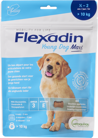 Flexadin Young Dog Maxi Chew 60 1