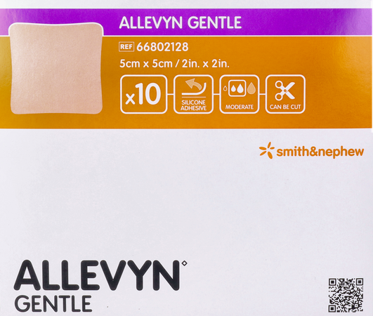 Allevyn Gentle Cp Foam 5cm X 5cm 10 66802128 2
