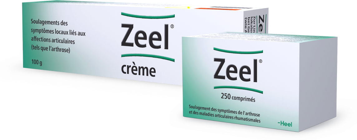 Zeel T crème 100g Heel 21