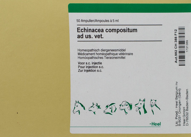 Echinacea Compositum Ad Us.vet Amp 50x5,0ml 1