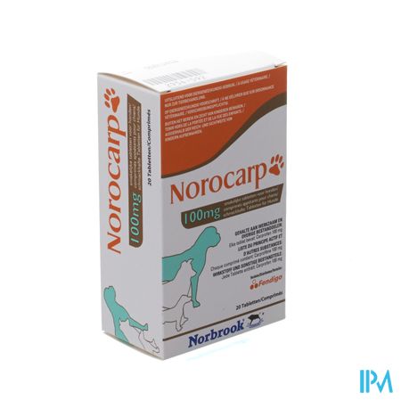 Norocarp Hond Smakelijk Tabl 20x100mg