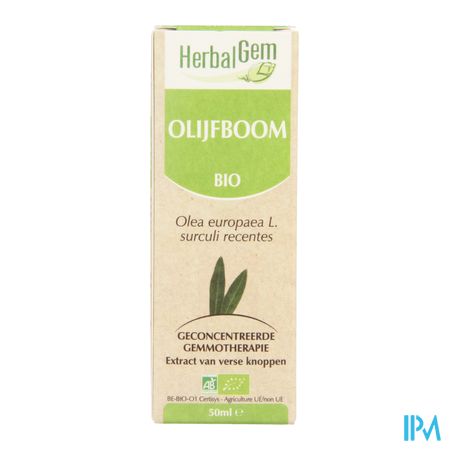 Herbalgem Olijfboom Maceraat 50ml 4