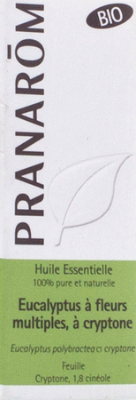 Pranarom Eo Eucalyptus Cryptone Bio 10ml 1