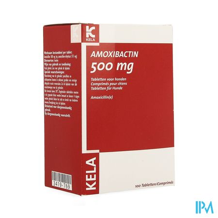 Amoxibactin 500mg Hond Comp 100