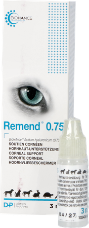 Remend 0.75 Soutien Corneen 3ml 8