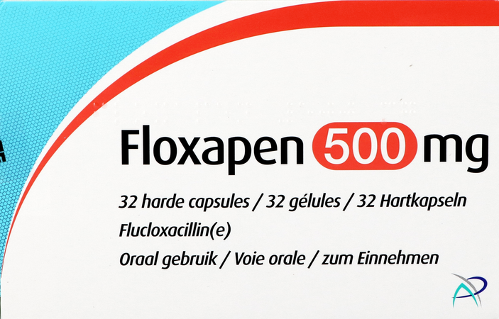 Floxapen 500mg Caps Dur 32 1