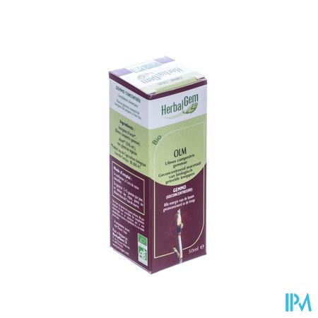 Herbalgem Olm Maceraat 50ml 2