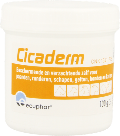 Cicaderm Zalf 100g 2