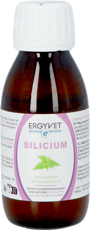 Ergyvet Silicium Fl 100ml