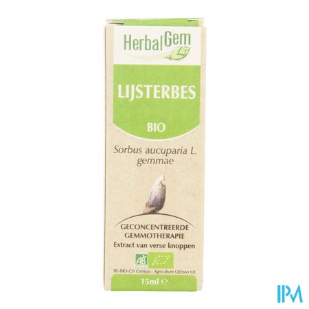 Herbalgem Lijsterbes Maceraat 15ml 4