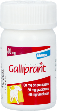 Galliprant 60mg Hond Comp 30 4