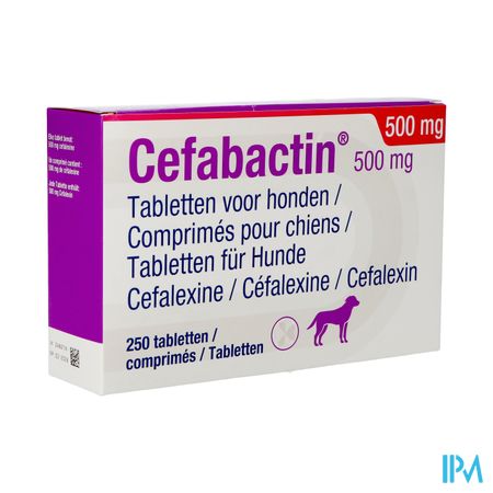 Cefabactin 500mg Chien Comp 250