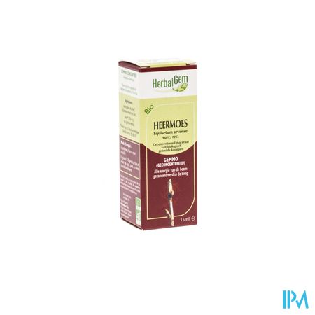 Herbalgem Appelboom Maceraat 15ml 4