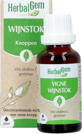 Herbalgem Wijnstok Maceraat Bio 30ml 3