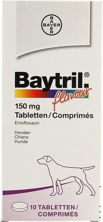 Baytril Flavour Chien/chat Tabl 10 X 150mg 2